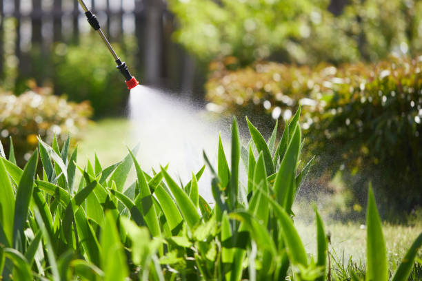 Tamper-Resistant Bait Stations for Rodents in Enlow