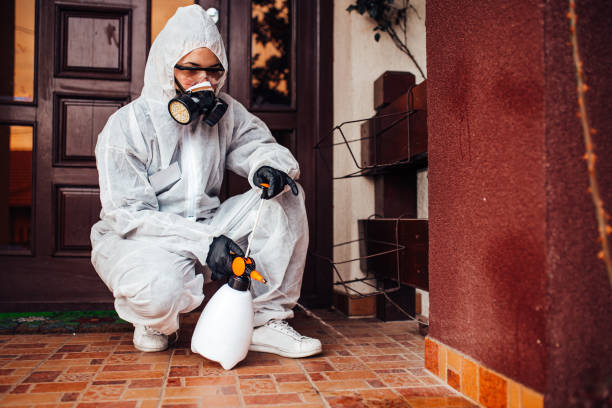 Attic and Crawl Space Rodent Treatment in Enlow