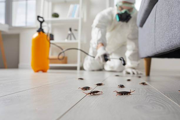 Commercial Rodent Management in Enlow